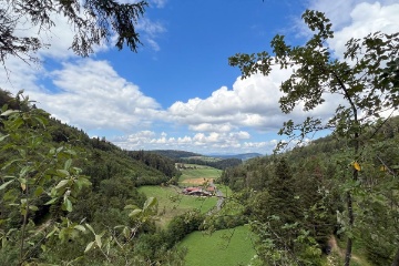 Panorama von der Ruine Gutenfels